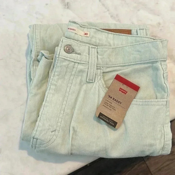 NWT LEVIS ‘94 BAGGY MEADOW MIST CORDUROY PANTS - Picture 1 of 4